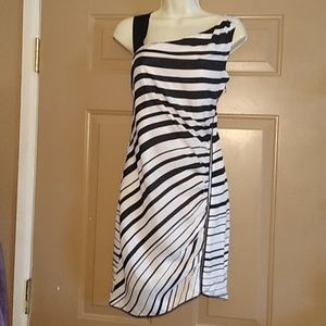 CYNTHIA STEFFE BLK & WHT STRIPE SILK DRESS…